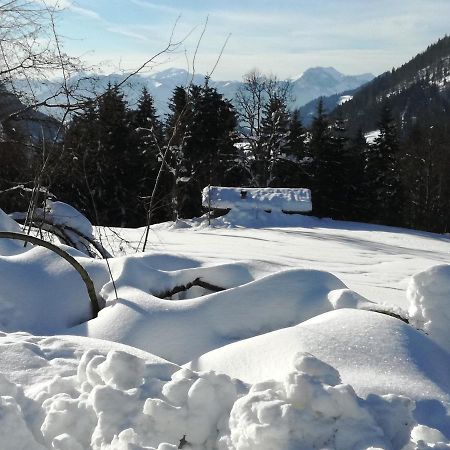 Karrerhof Apartment Walchsee Luaran gambar
