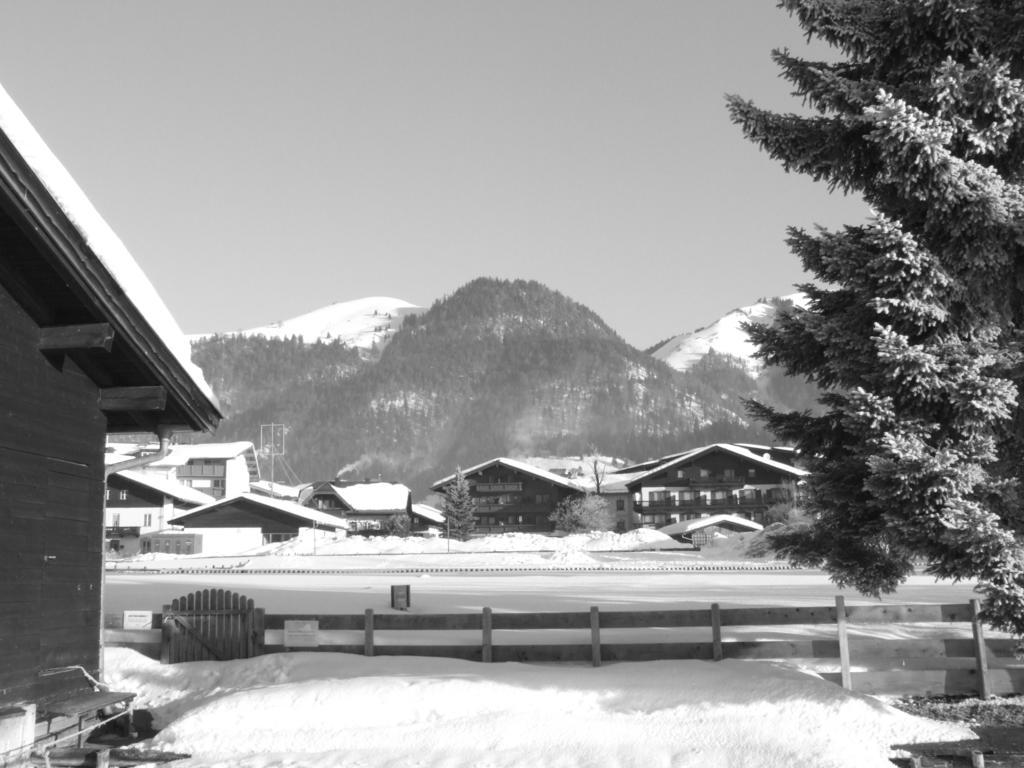 Karrerhof Apartment Walchsee Luaran gambar