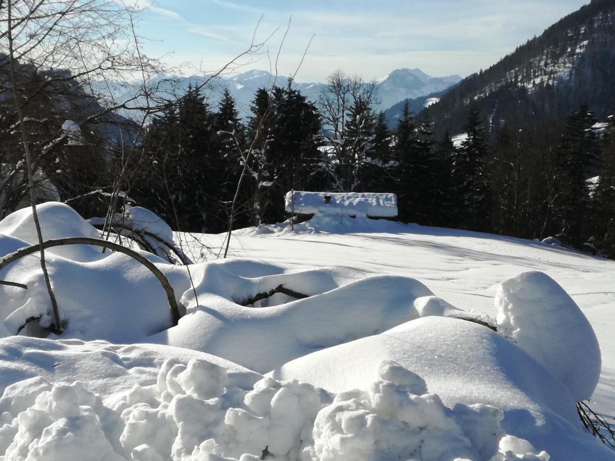 Karrerhof Apartment Walchsee Luaran gambar